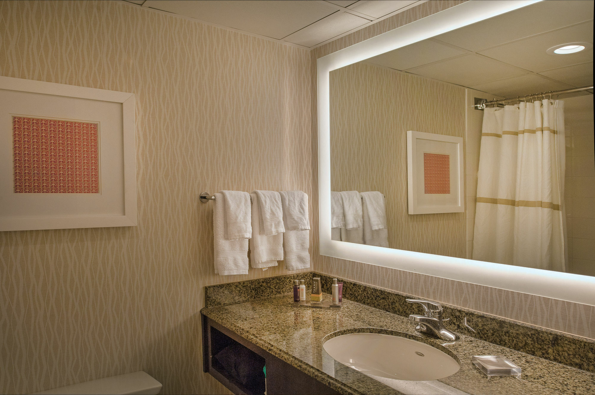 Отель Marriott St. Louis Airport Edmundson Экстерьер фото